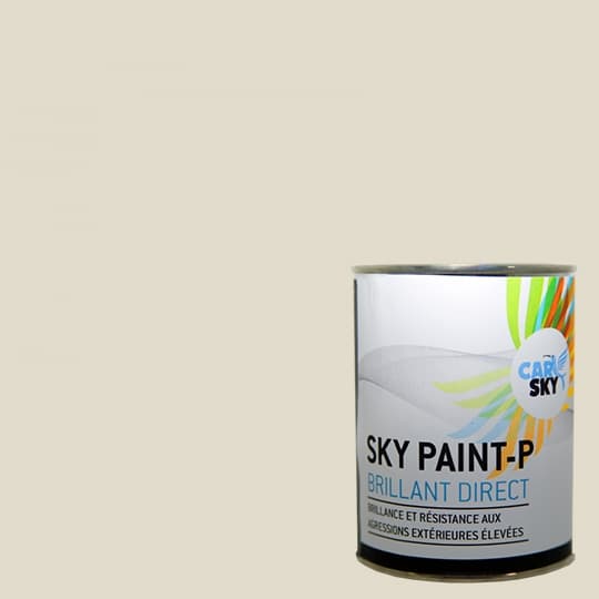 SPRAYMAX Bombe peinture plastique FXX PSA