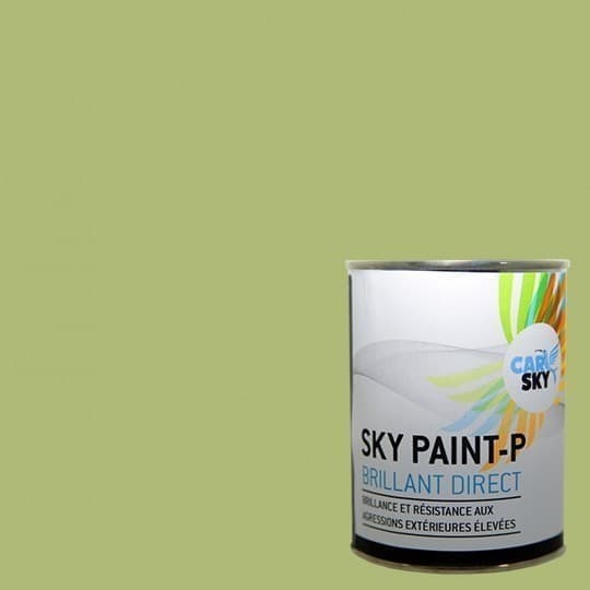 Peinture plastique FZL PSA Spraymax Gris foncé - aérosol 400ml